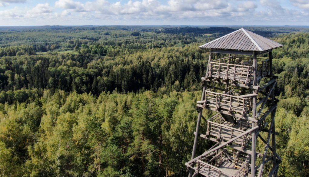 Kuidas valida esimest binoklit? Juhend algajale